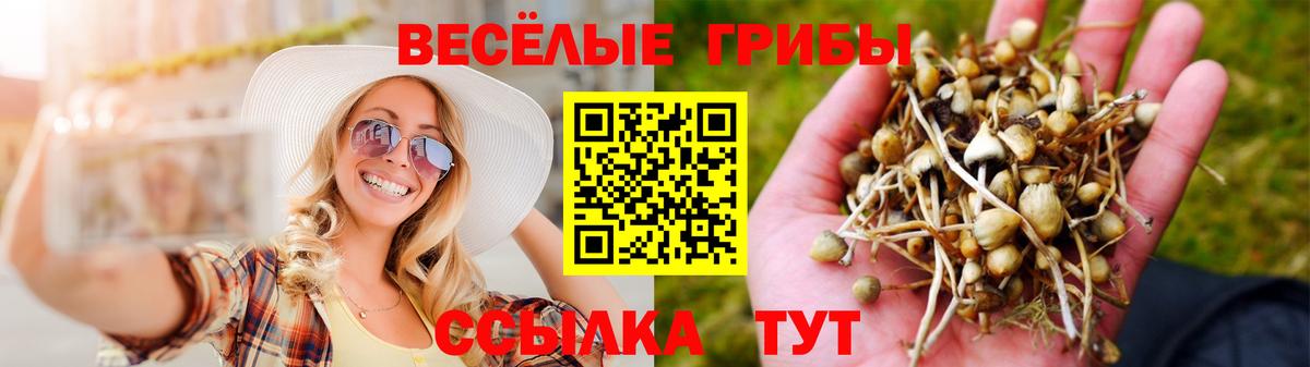 Галлюциногенные грибы прущие грибы  Галлюциногенные грибы мухоморы  Вход с VPN  Копейск 